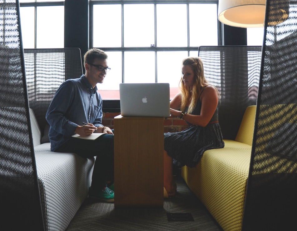 Web Development - Consulting